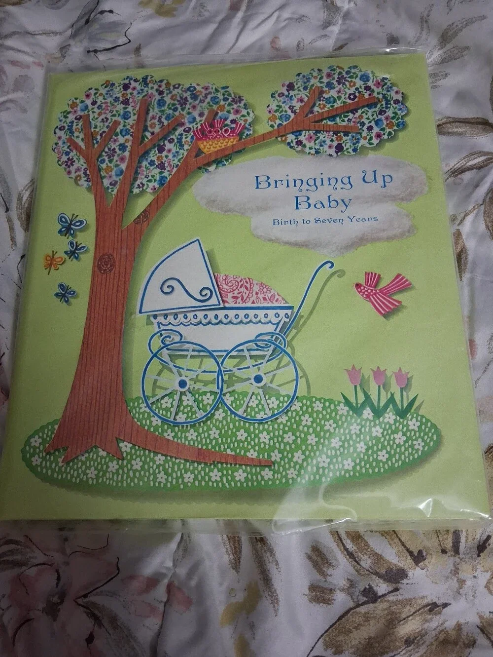 Vintage '63 and 63 Year Old Baby Book